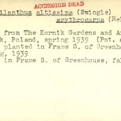 Plant Records Card Catalog, Ailanthus (ailanthus)