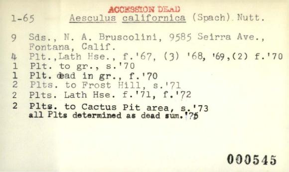 Plant Records Card Catalog, Aesculus (buckeye, horse chestnut)