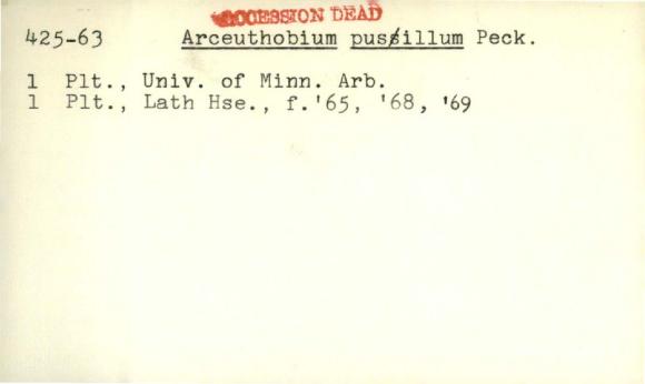 Plant Records Card Catalog, Arceuthobium (dwarf mistletoe)