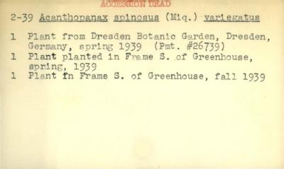 Plant Records Card Catalog, Acanthopanax (shrub-ginseng)