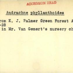 Plant Records Card Catalog, Andrachne (andrachne)
