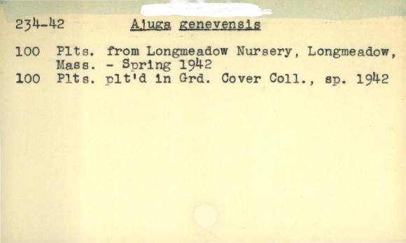 Plant Records Card Catalog, Ajuga (bugleweed)