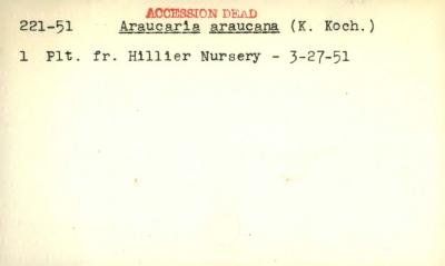 Plant Records Card Catalog, Araucaria (araucaria)