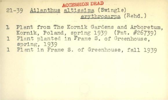 Plant Records Card Catalog, Ailanthus (ailanthus)