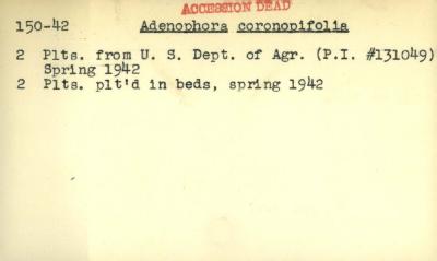 Plant Records Card Catalog, Adenophora (ladybells)