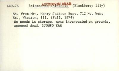 Plant Records Card Catalog, Belamcanda (blackberry lily)