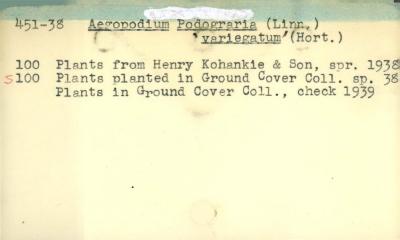 Plant Records Card Catalog, Aegopodium (ground elder)