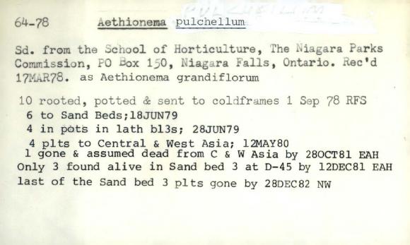 Plant Records Card Catalog, Aethionema (stonecress)