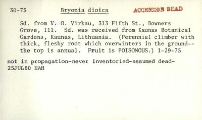Plant Records Card Catalog, Bryonia (bryony)