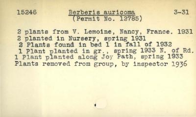 Plant Records Card Catalog, Berberis (barberry)