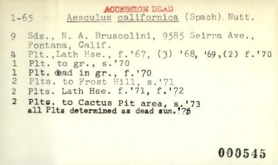 Plant Records Card Catalog, Aesculus (buckeye, horse chestnut)