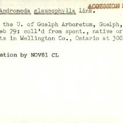 Plant Records Card Catalog, Andromeda (bog rosemary)