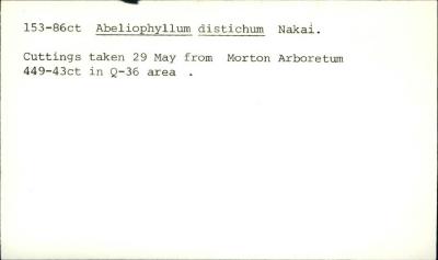 Plant Records Card Catalog, Abeliophyllum (white forsythia)