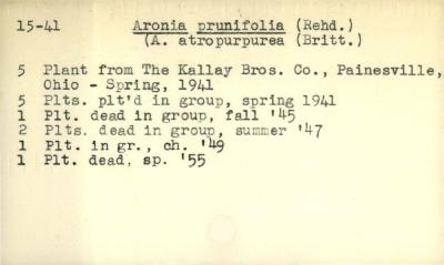 Plant Records Card Catalog, Aronia (chokeberry)