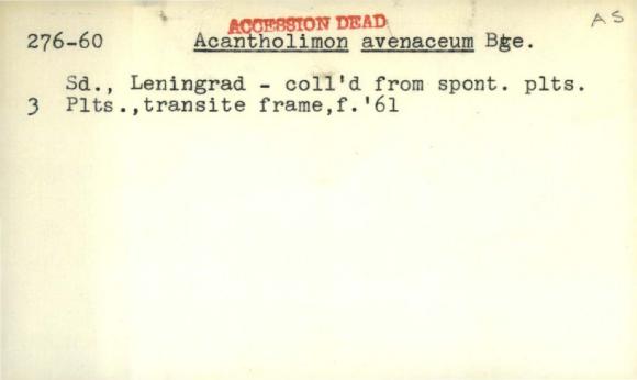 Plant Records Card Catalog, Acantholimon (prickly thrift)