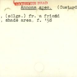 Plant Records Card Catalog, Annona (annona)