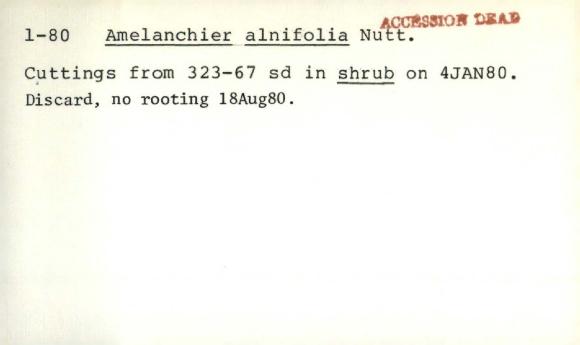 Plant Records Card Catalog, Amelanchier (serviceberry)
