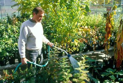 Peter Linsner in the Greenhouse