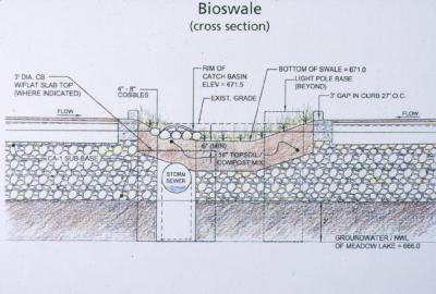 Bioswale Diagram
