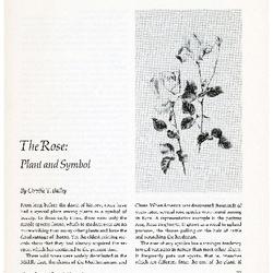 The Rose: Plant and Symbol