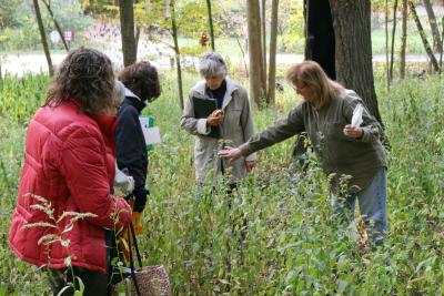Adult Education, Trees and Nature, Field Ecology