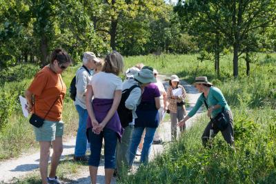 Adult Education, Trees and Nature, Summer Prairie Walk