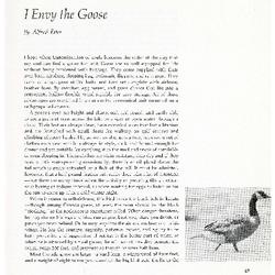 I Envy the Goose