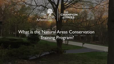 What is the Natural Areas Conservation Training Program?