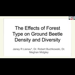 The Effects of Forest Type on Ground Beetle Abundance and Diversity

