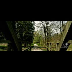 Evergreen: The Virtual Gala for The Morton Arboretum, Promotional Video
