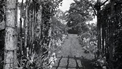 Yard at Clarence Godshalk's first Arboretum house, view of garden path from pergola 