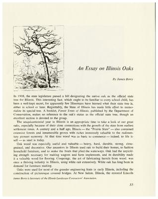 An Essay on Illinois Oaks