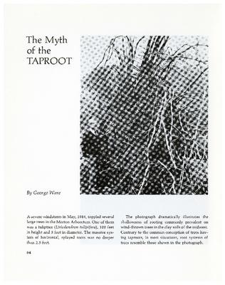 The Myth of the Taproot