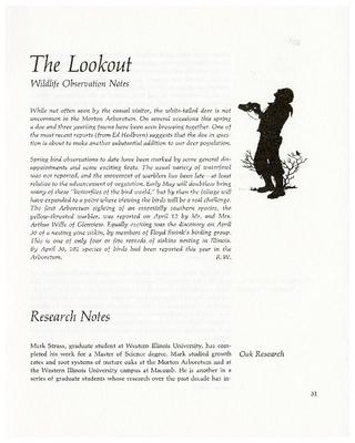 The Lookout: Wildlife Observation Notes