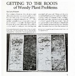 Getting to the Roots of Woody Plant Problems