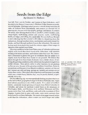 Seeds from the Edge
