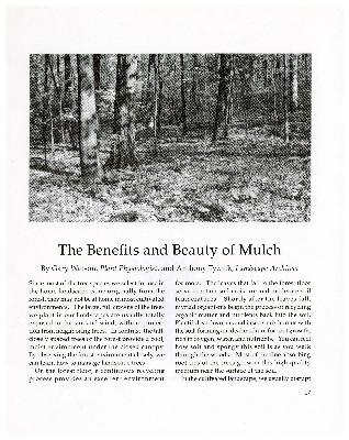 The Benefits and Beauty of Mulch