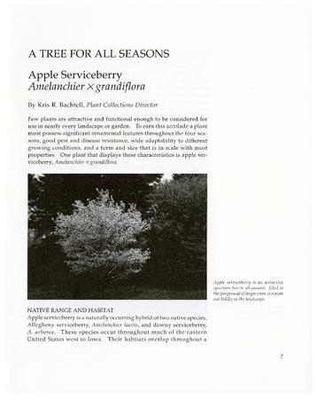 A Tree for All Seasons: Apple Serviceberry, Amelanchier x grandiflora
