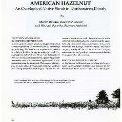 American Hazelnut: An Overlooked Native Shrub in Northeastern Illinois