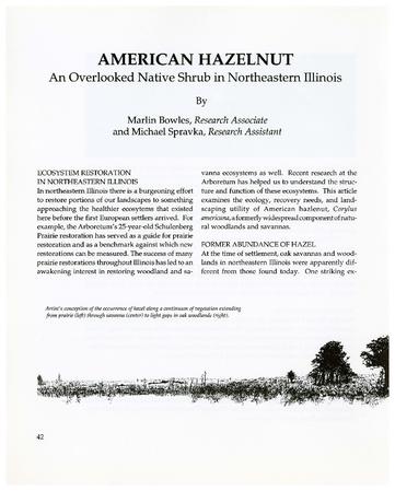 American Hazelnut: An Overlooked Native Shrub in Northeastern Illinois