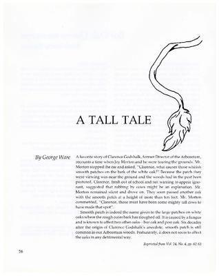 A Tall Tale