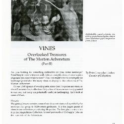 Vines: Overlooked Treasures of The Morton Arboretum (Part II)