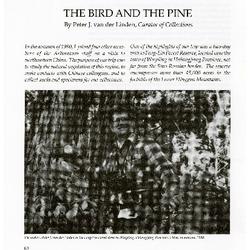 The Bird and the Pine