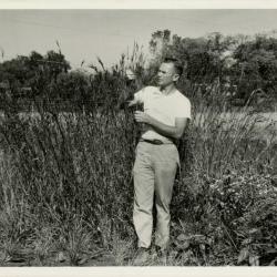 Ray Schulenberg studying plant in prairie during prairie restoration