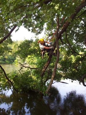 Beau Nagan climbing a tree branch