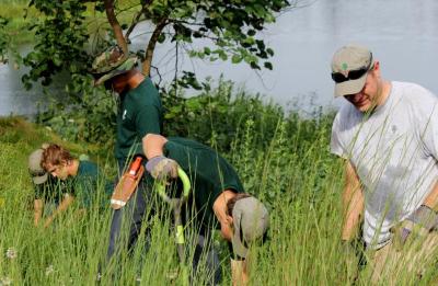 Woodland stewardship volunteers on a workday on the grounds of The Morton Arboretum