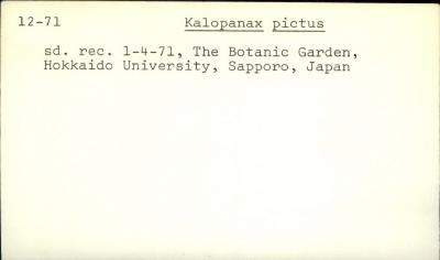 Plant Records Card Catalog, Kalopanax (castor-aralia)