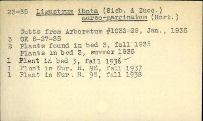 Plant Records Card Catalog, Ligustrum (privet)