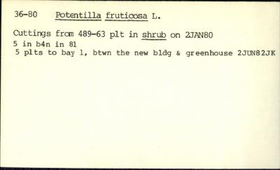 Plant Records Card Catalog, Potentilla (cinquefoil)