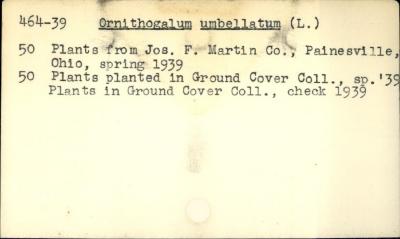 Plant Records Card Catalog, Ornithogalum (star-of-Bethlehem)